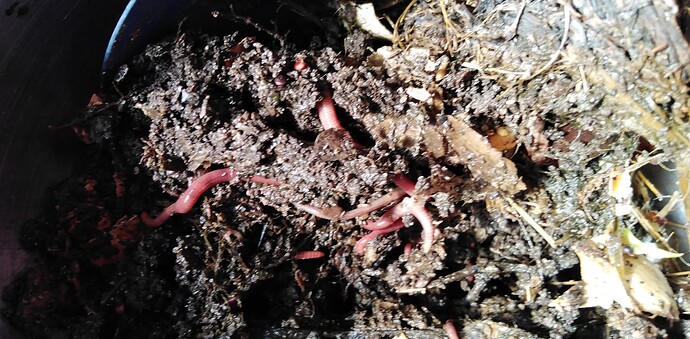 17176825136536641653173344748697