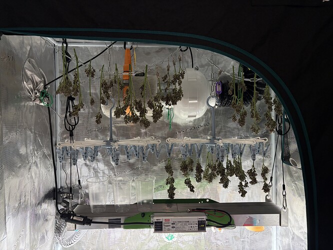 Growreport Bild 7