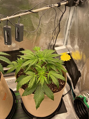 IMG_0329