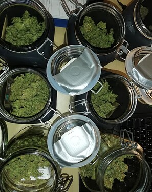 Growreport Bild 88
