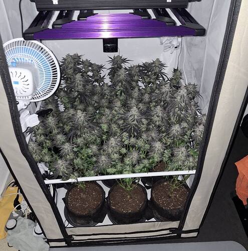 481061165_122170051982293599_8868338873099374136_n