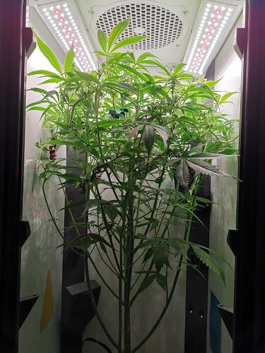 Growreport Bild 4