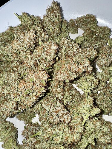 Growreport Bild 2