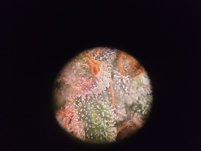 Growreport Bild 9