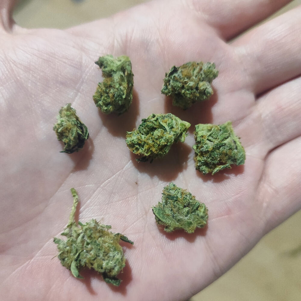 Grow à la Mandarine –2 Guys 1