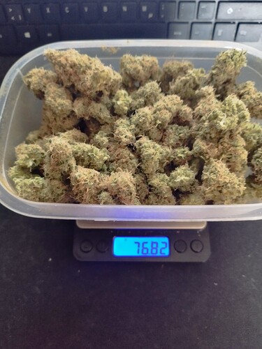 Growreport Bild 1