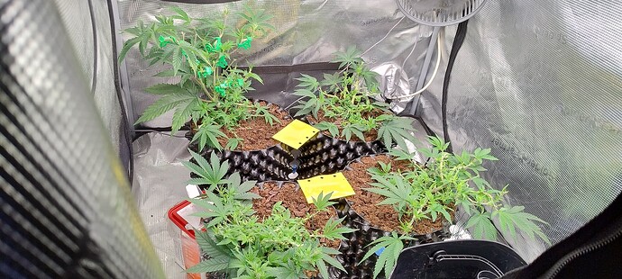 IMG_20251010_120934451_HDR