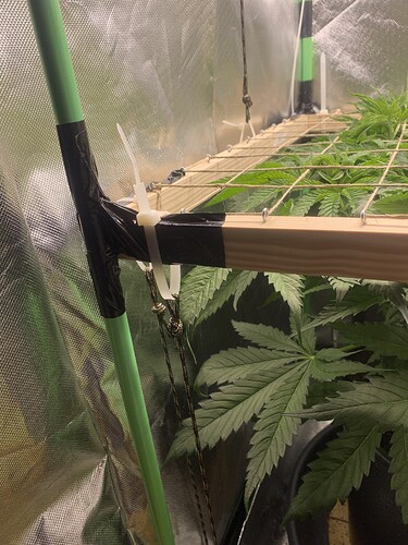 Growreport Bild 5
