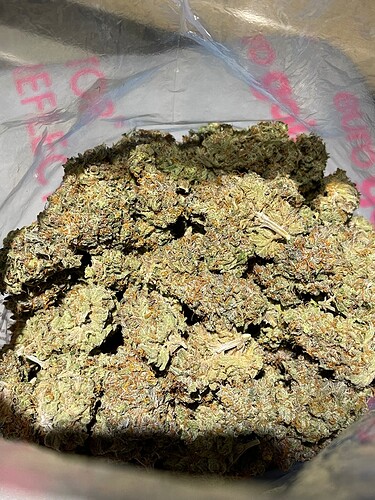 Growreport Bild 5
