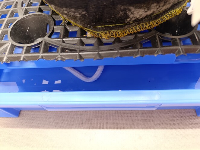 Growreport Bild 8