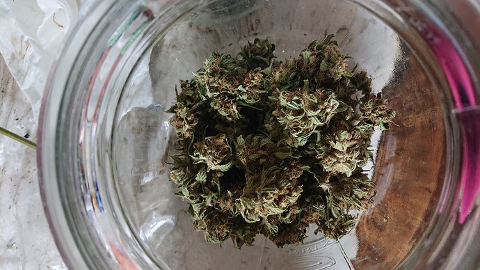 Growreport Bild 16