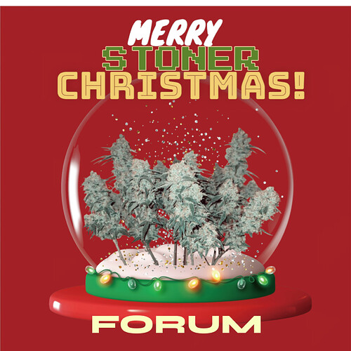 Photoroom-20241207_061748