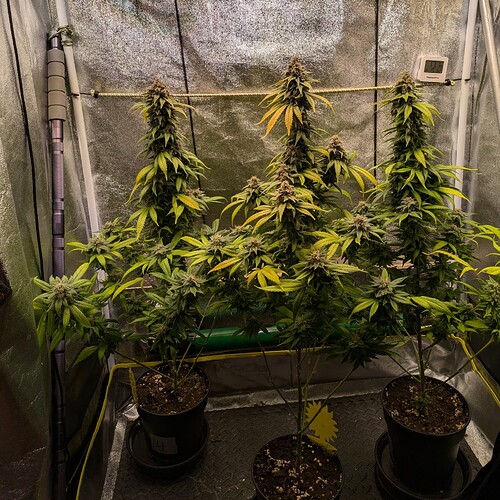 Growreport Bild 16