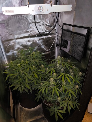 Growreport Bild 19