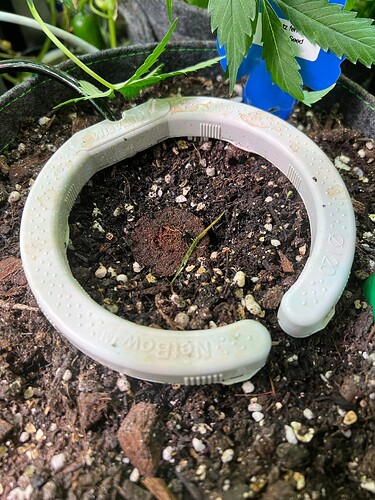 Growreport Bild 45