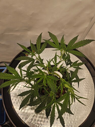 Growreport Bild 8