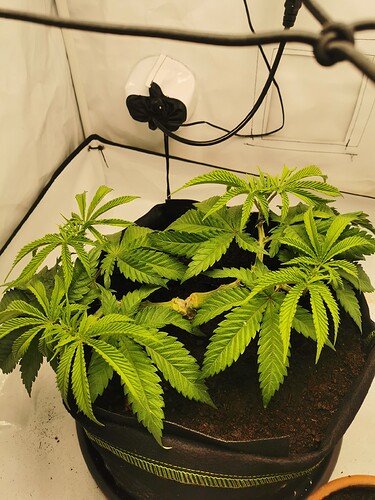 Growreport Bild 18