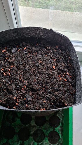 fertig begossen