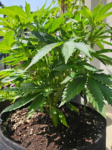 Growreport Bild 9