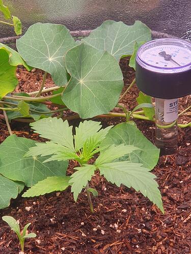 Tag 13 -2025-09-04-162225_004