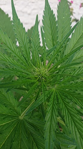 Growreport Bild 22