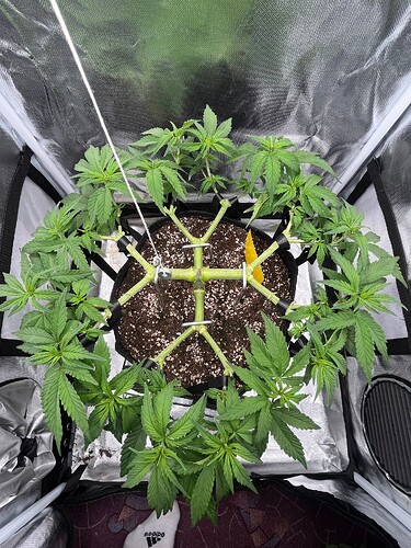 Growreport Bild 8