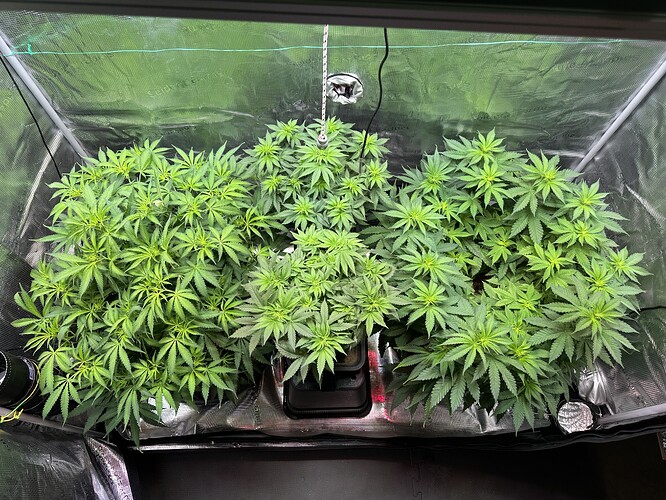 Growreport Bild 57