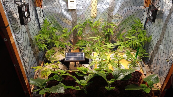 Growreport Bild 3
