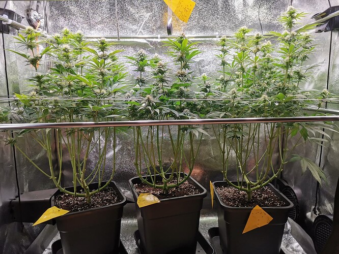 Growreport Bild 10