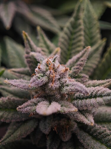 Growreport Bild 24