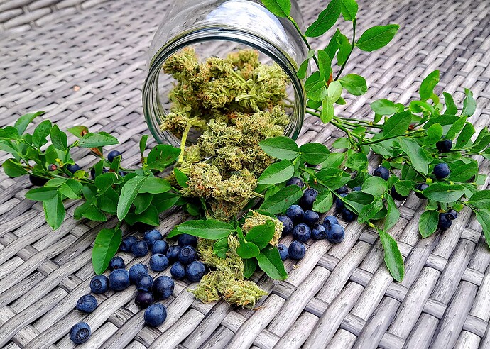 Growreport Bild 34