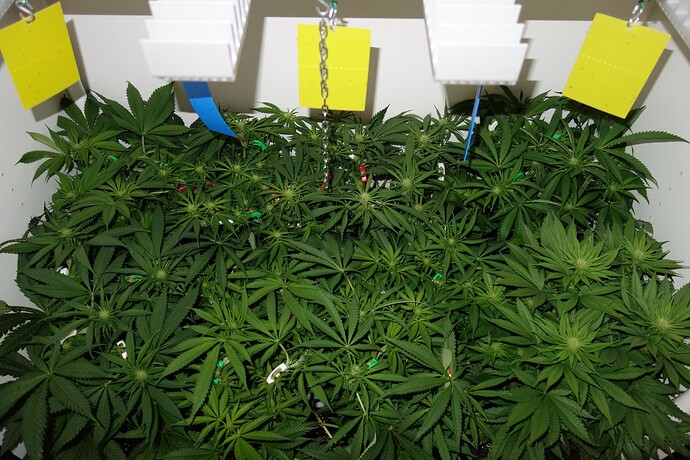 Growreport Bild 10