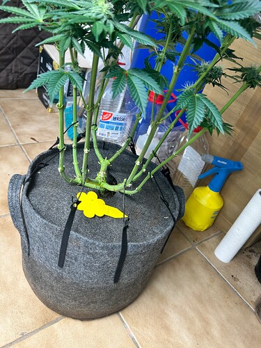 Growreport Bild 24