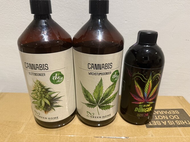 Growreport Bild 2