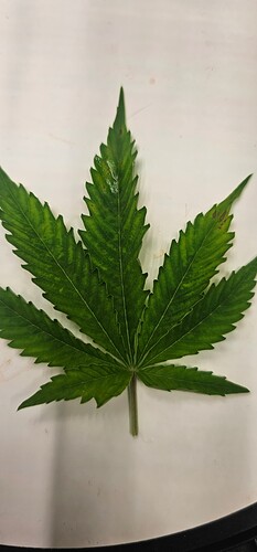 Growreport Bild 18