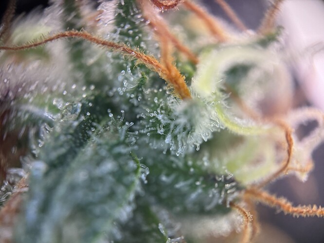 Growreport Bild 18