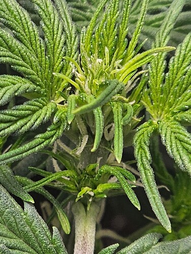 Growreport Bild 4