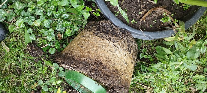 Growreport Bild 11