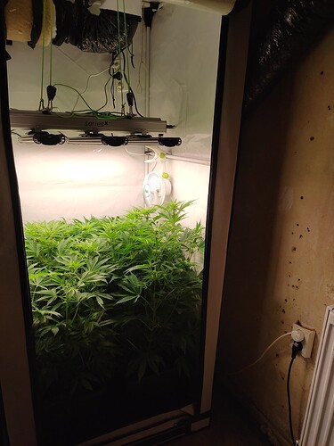 Growreport Bild 15