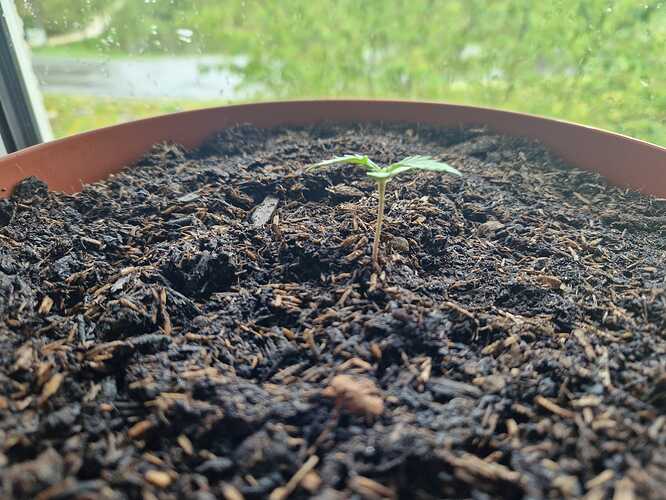 WhatsApp Image 2024-04-19 at 13.00.04 (2)