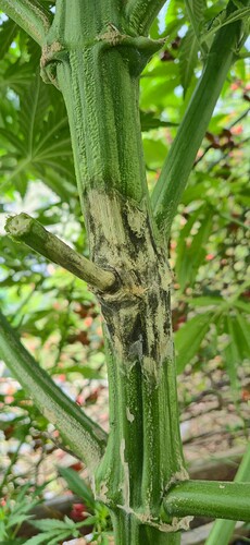 Growreport Bild 13
