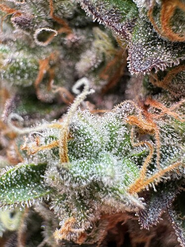Growreport Bild 11