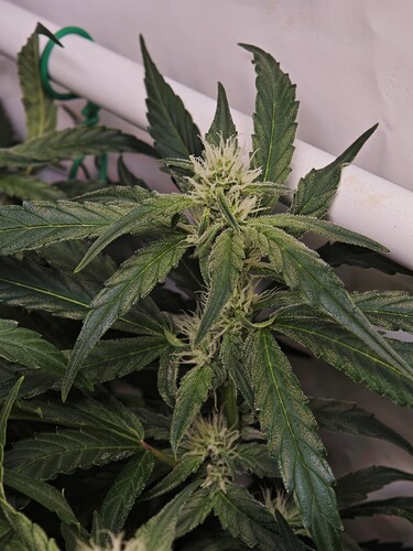 MVIMG_20251028_175640