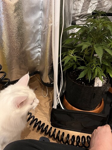 Growreport Bild 4