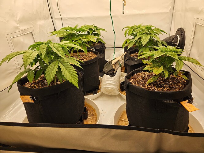 Growreport Bild 5
