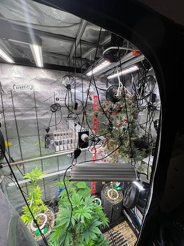 Growreport Bild 6