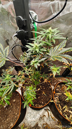 Growreport Bild 11
