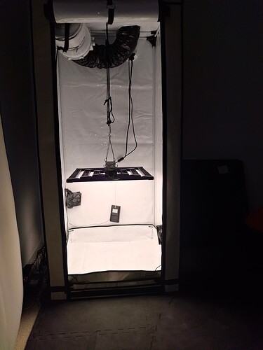 Growreport Bild 3