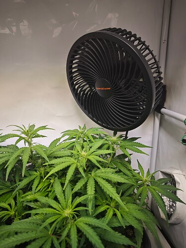 MVIMG_20251019_221803