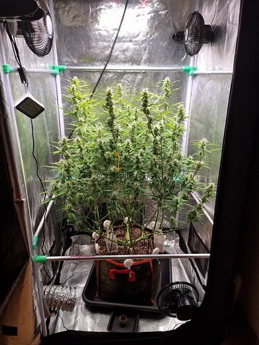 Growreport Bild 5